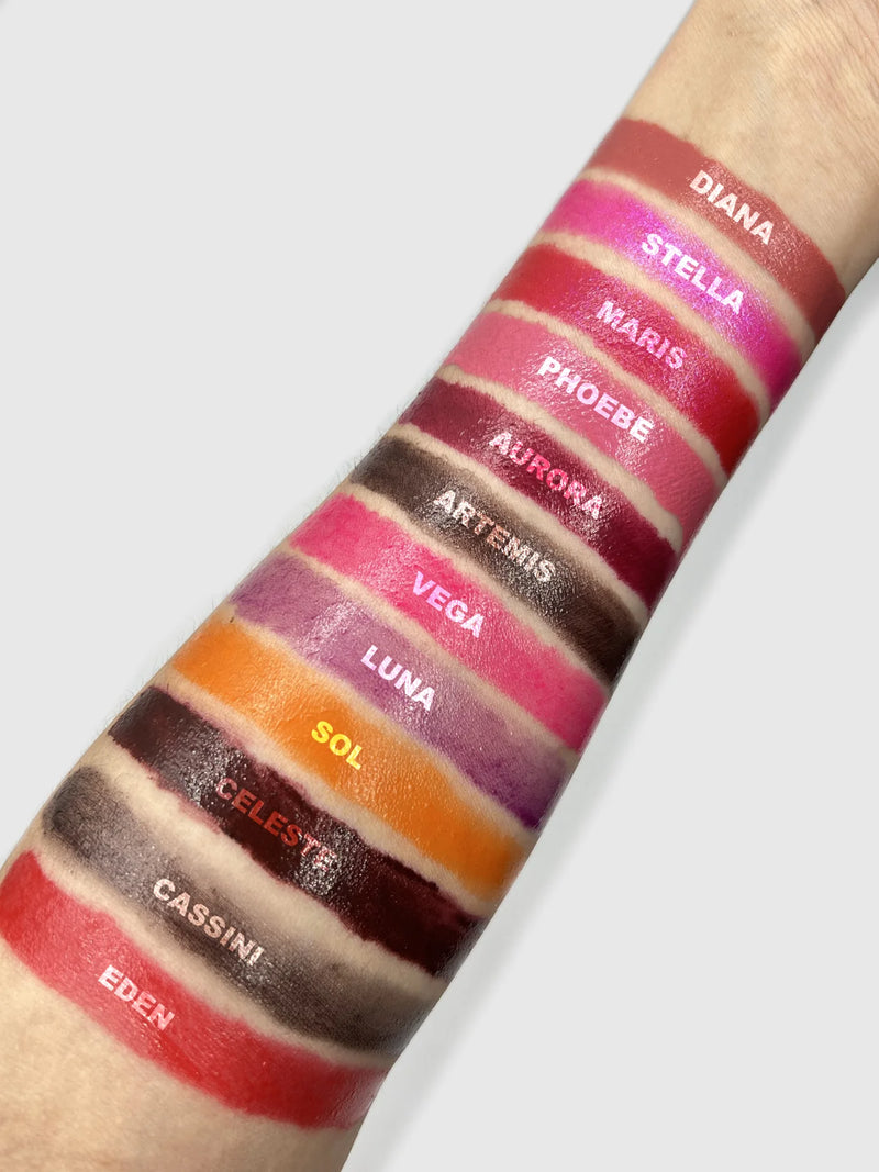 Jelly lipstick 12pc bundle